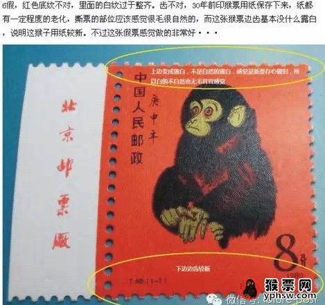 庚申猴年邮票 80猴票的辨别真假的方式，你了解多少？(组图)