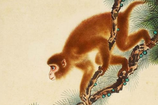 1980年出生的生肖属相属猴的人比1992大几岁？