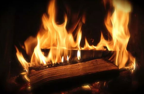 炉中火和大林木的特点有哪些？有你吗？